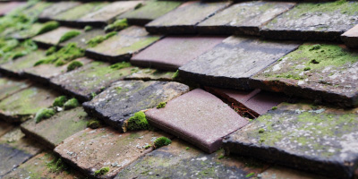 Draycott roof repair costs